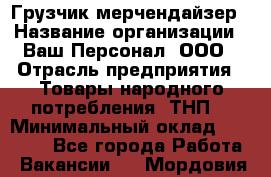 Грузчик-мерчендайзер › Название организации ­ Ваш Персонал, ООО › Отрасль предприятия ­ Товары народного потребления (ТНП) › Минимальный оклад ­ 18 000 - Все города Работа » Вакансии   . Мордовия респ.